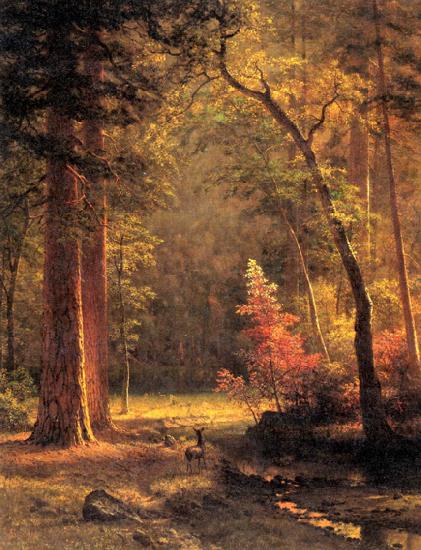 Albert Bierstadt Dogwood by Albert Bierstadt Sweden oil painting art